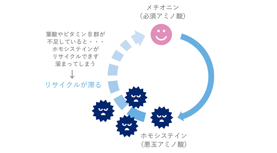 葉酸サプリならエレビット(elevit) | バイエル公式オンラインショップ